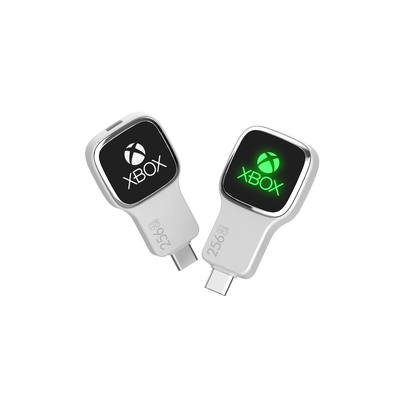 13G Nettogewicht TYPE C USB-Flash-Laufwerke verbessern Ihr Datenmanagement