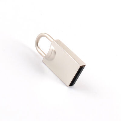 Drucklogo unterstützt Metall-USB-Flash-Laufwerk, 100 % Chips-Test bestanden, H2-getestet, schlanker Mini-USB, leicht zugänglich