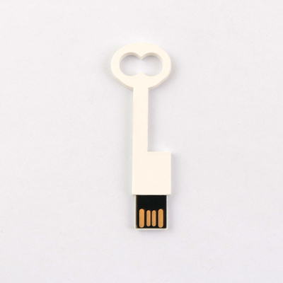 Passen sich greller Antrieb 2,0 64GB 128GB 50MB/S Europa-Standardplastikschlüssel USBs an