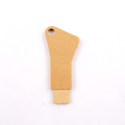 Geführte GRS und geführte UKCA bereiten materielles USB 2,0 Stock-Geschenke 10MB/S 20MB/S auf