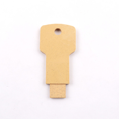 Bereiten Sie materielle geführte UKCA-Bescheinigung Plastikusb-Stock 2,0 20MB/S 128GB 64GB auf